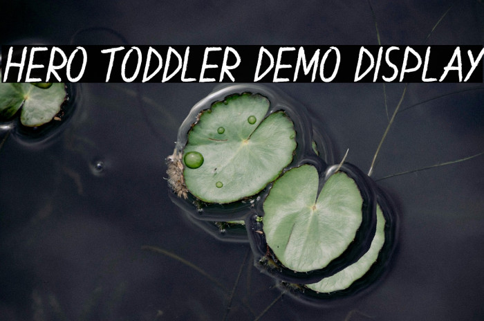 Hero Toddler Demo Display Example 2