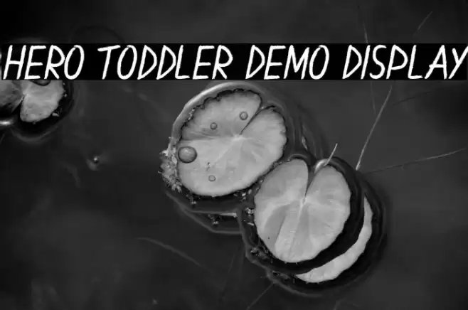Hero Toddler Demo Display フォント examples