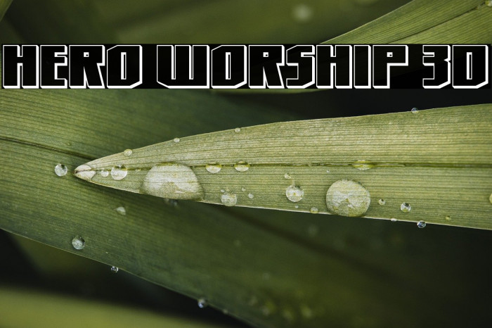 Hero Worship 3D Example 1