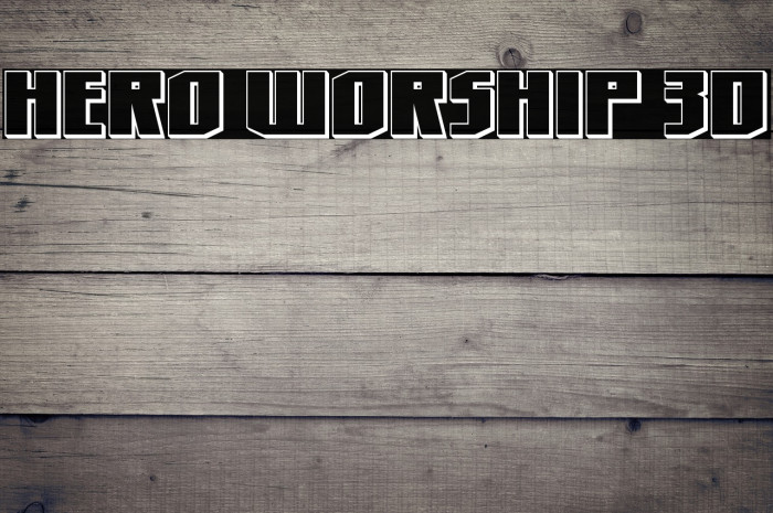 Hero Worship 3D Example 3