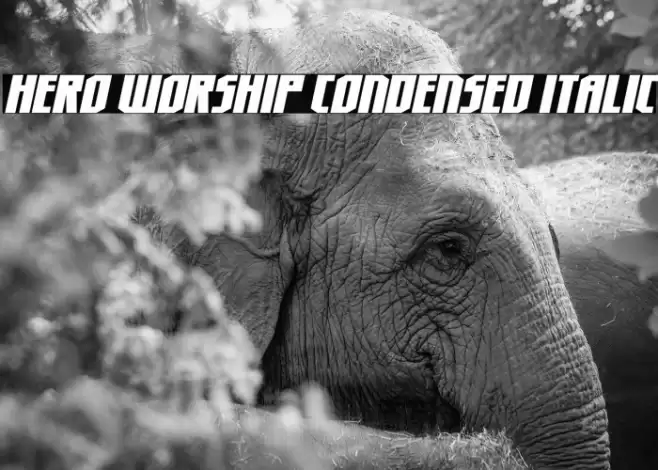 Hero Worship Condensed Italic Font examples