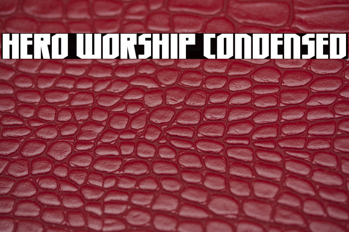 Hero Worship Condensed Example 1