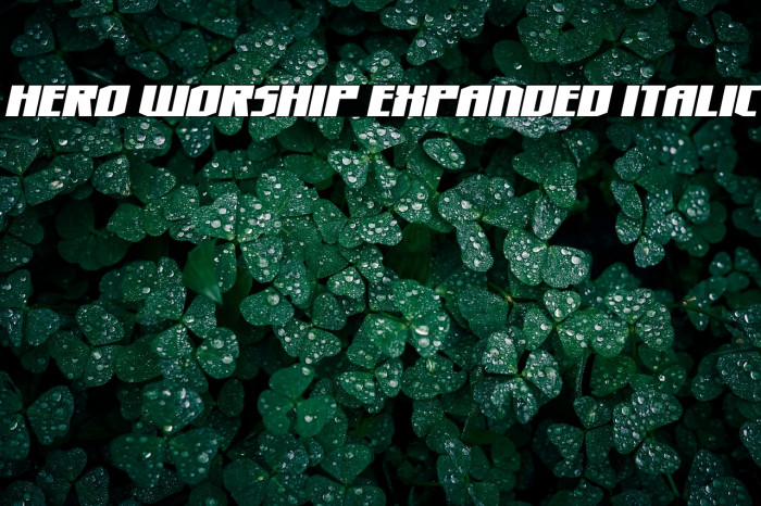 Hero Worship Expanded Italic Example 3