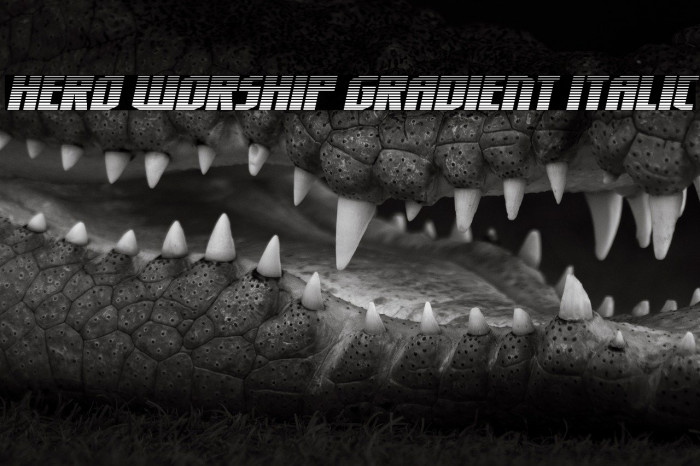 Hero Worship Gradient Italic Example 2