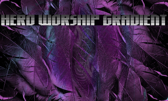 Hero Worship Gradient Example 1