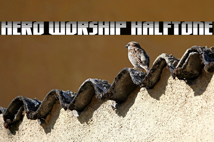 Hero Worship Halftone Example 2