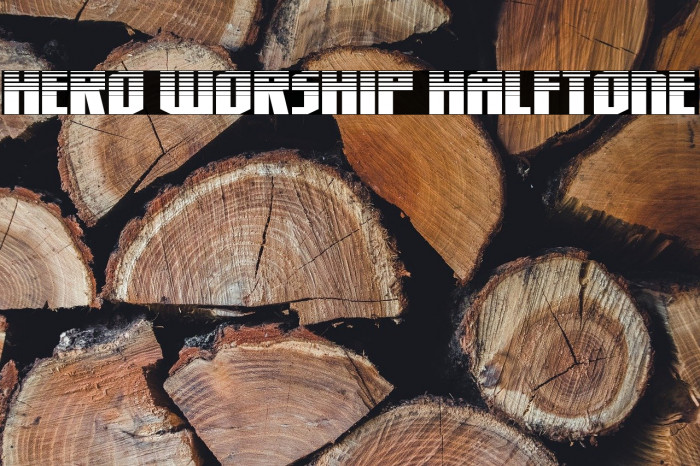 Hero Worship Halftone Example 3