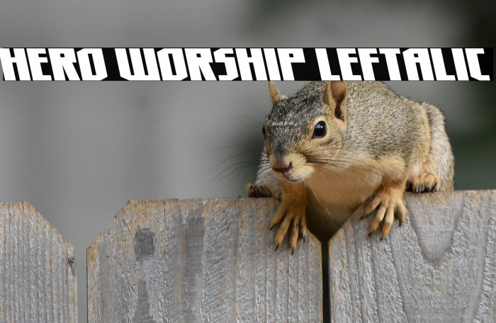 Hero Worship Leftalic Example 3