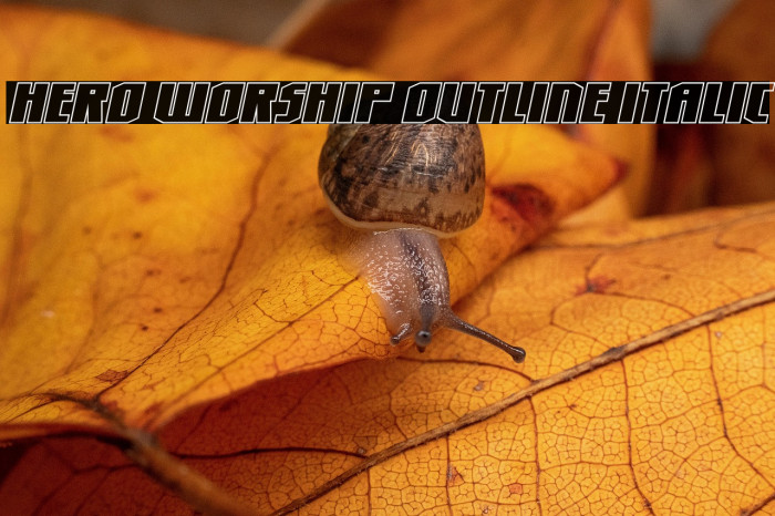 Hero Worship Outline Italic Example 3
