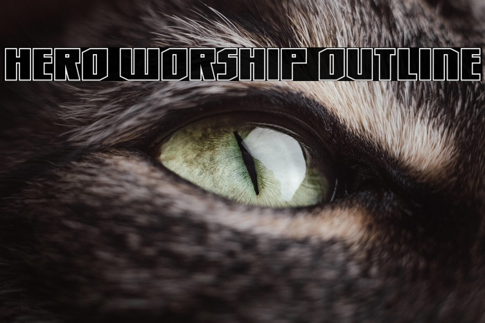 Hero Worship Outline Example 2