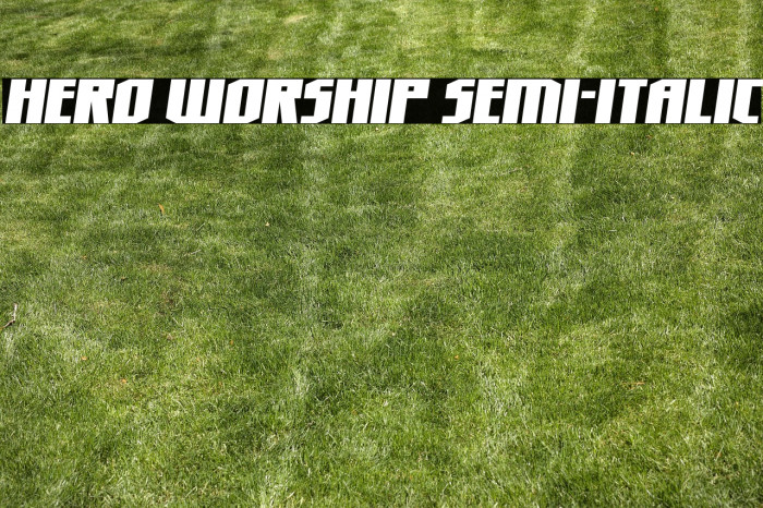 Hero Worship Semi-Italic Example 1