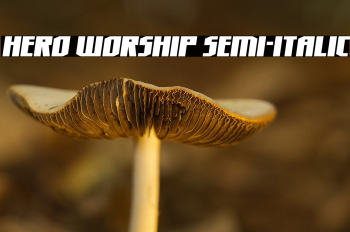 Hero Worship Semi-Italic Example 3