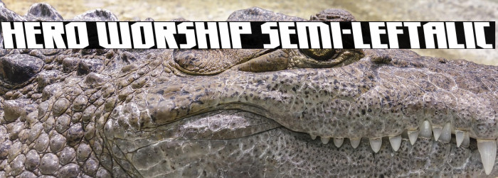 Hero Worship Semi-Leftalic Example 3