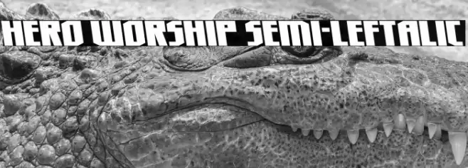 Hero Worship Semi-Leftalic Font examples