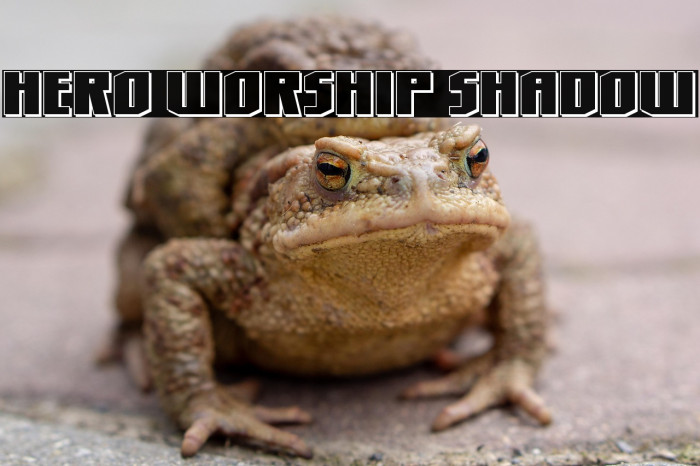 Hero Worship Shadow Example 1