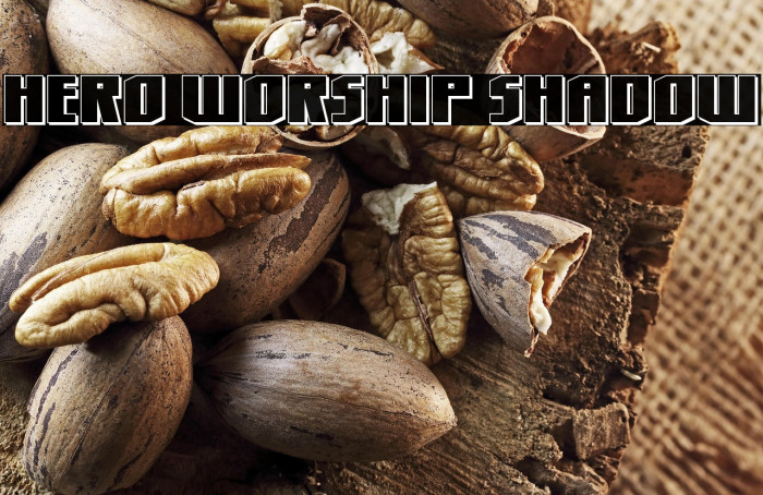 Hero Worship Shadow Example 2