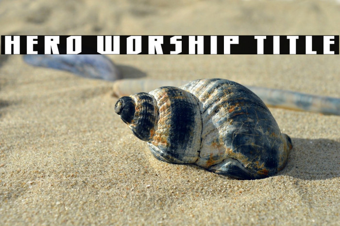 Hero Worship Title Example 3