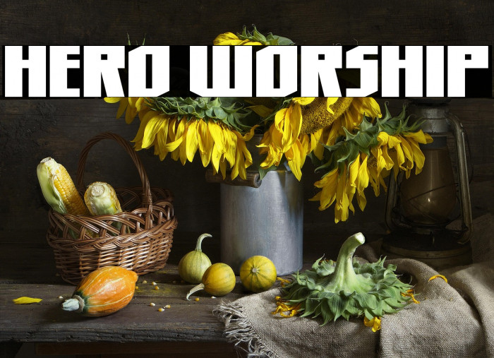 Hero Worship Example 3