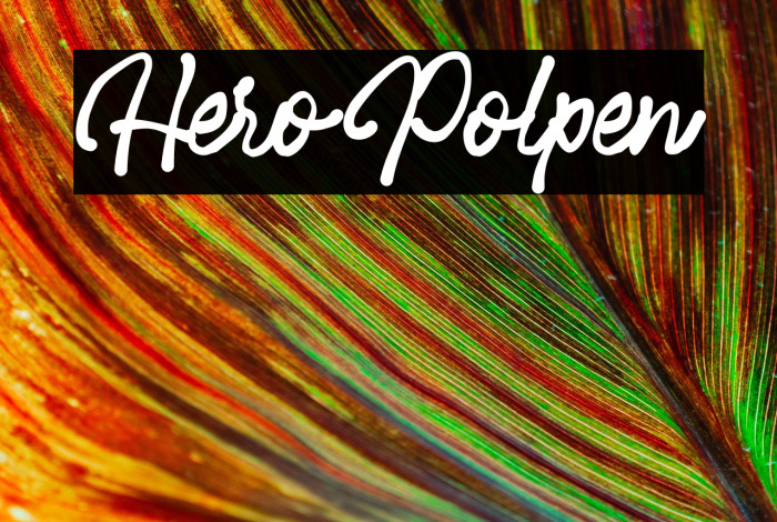 HeroPolpen Example 3