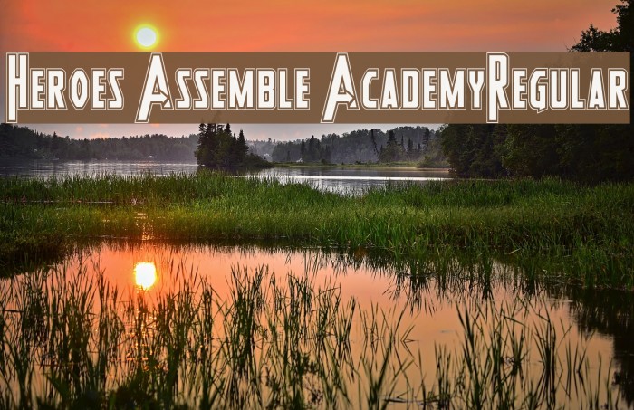 Heroes Assemble AcademyRegular Example 1