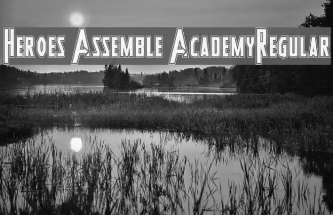 Heroes Assemble AcademyRegular Font examples