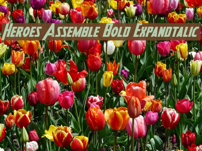 Heroes Assemble Bold Expandtalic Font examples