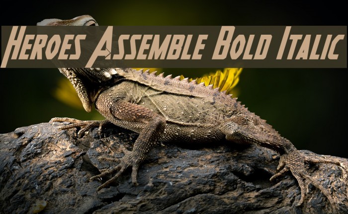 Heroes Assemble Bold Italic Example 1