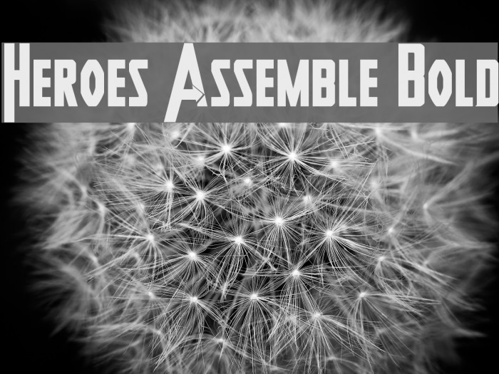 Heroes Assemble Bold Font examples
