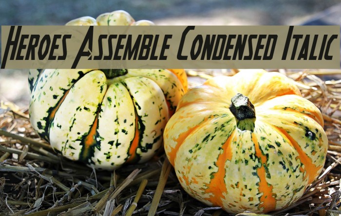 Heroes Assemble Condensed Italic Example 3