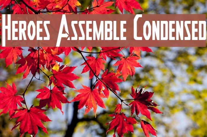 Heroes Assemble Condensed Example 3