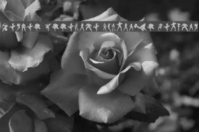 Heroes Assemble Dingbats Regular Font examples