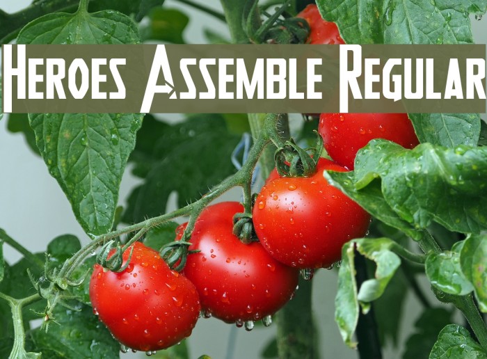 Heroes Assemble Regular Example 1