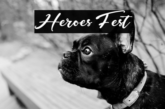 Heroes Fest Example 2