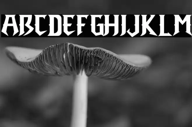 Heroes Font examples