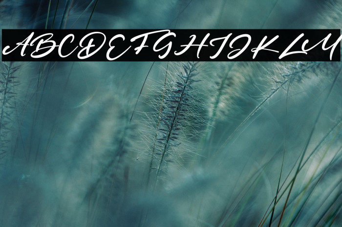 HeroesFest Example 1