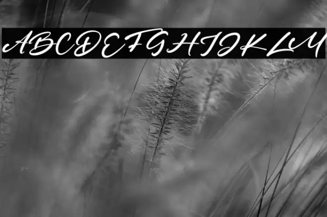 HeroesFest Font examples