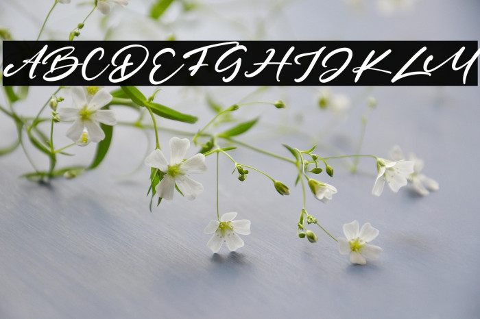 HeroesFest Example 3