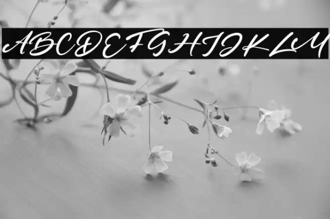 HeroesFest Font examples