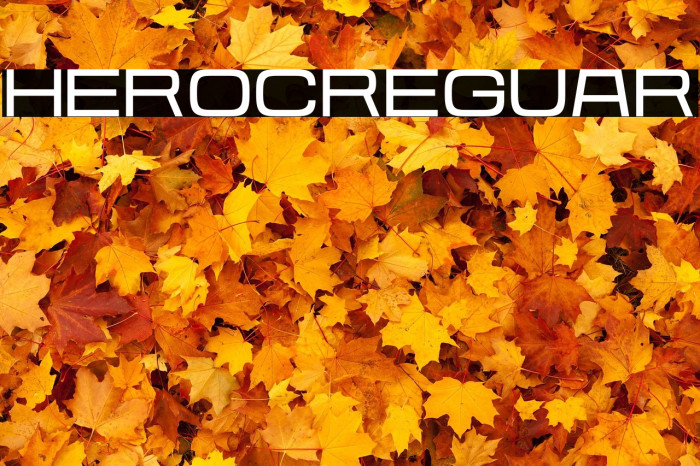 Heroic Regular Example 3