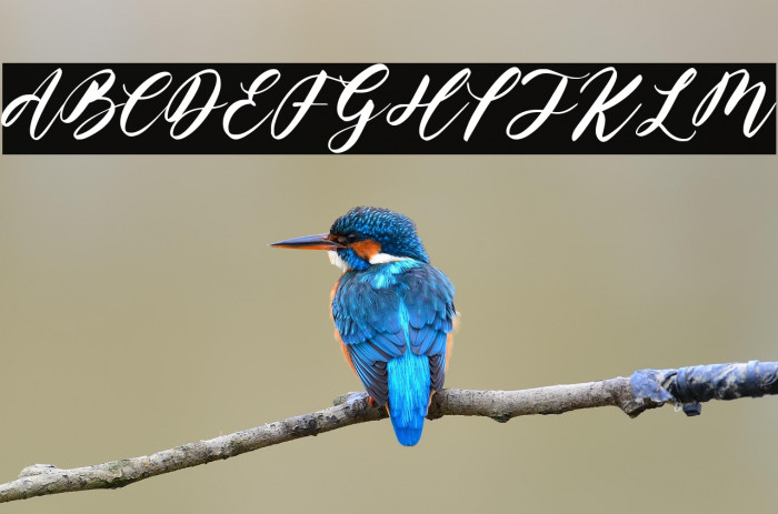 Heroic Trouble Example 2