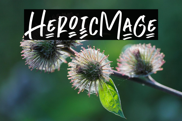 HeroicMage Example 3