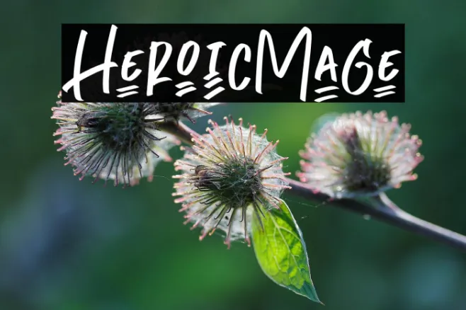 HeroicMage Example 3