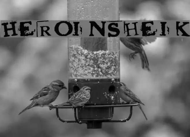 HeroinSheik Font examples