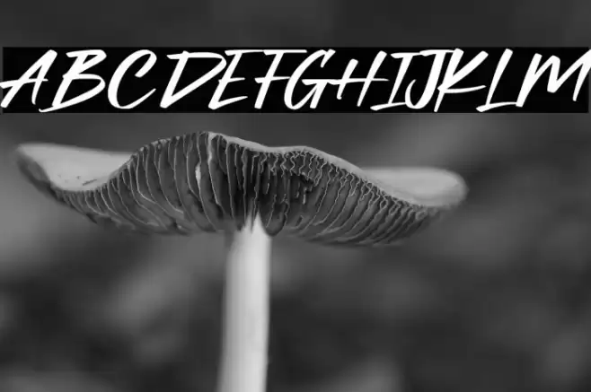 Herojuana Demo Version Font examples