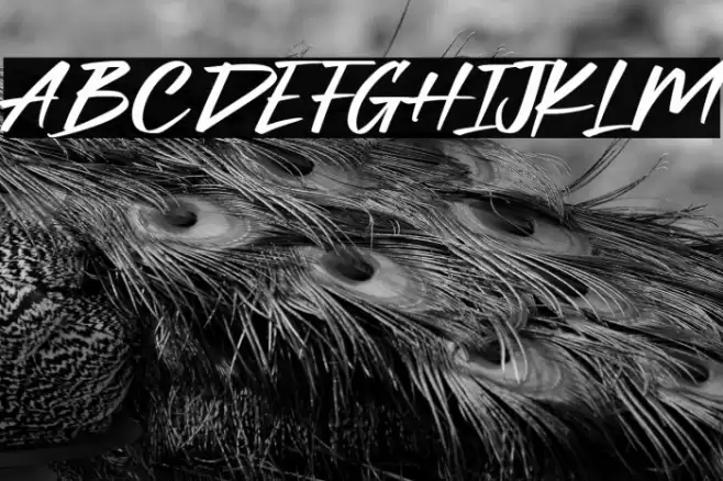 Herojuana Demo Version Font examples