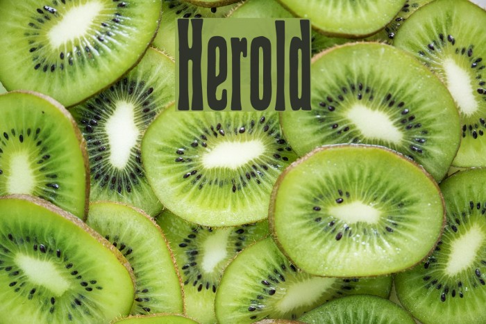 Herold Font examples