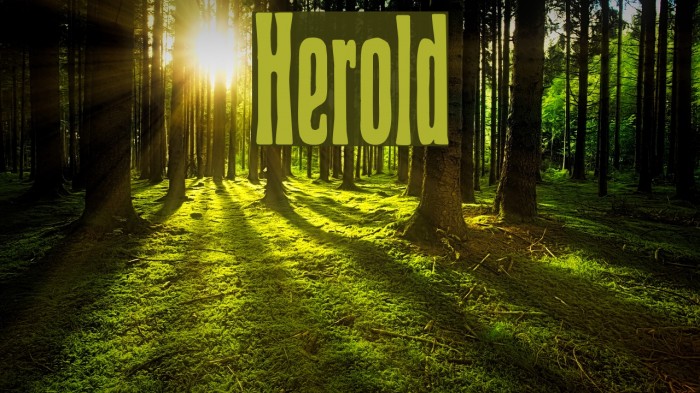 Herold Font examples