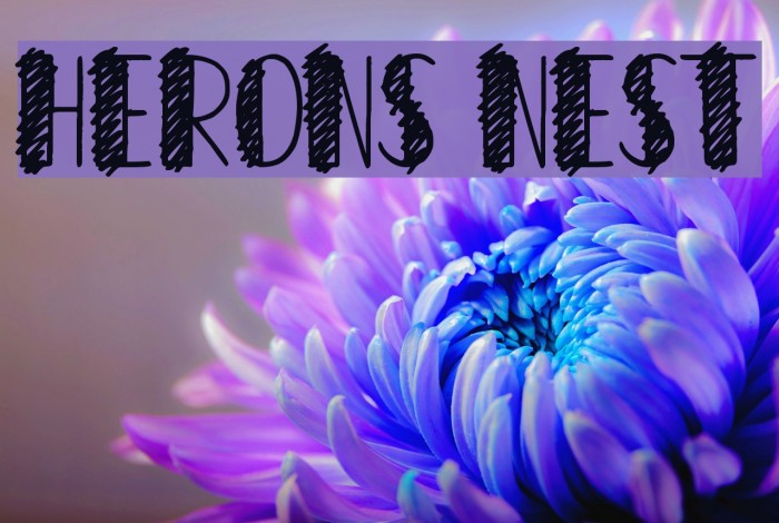 Herons Nest Example 2