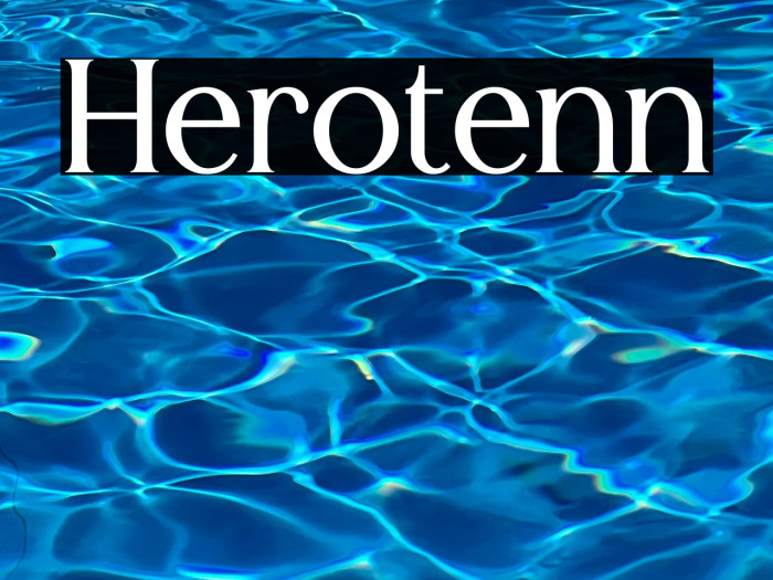Herotenn Example 1