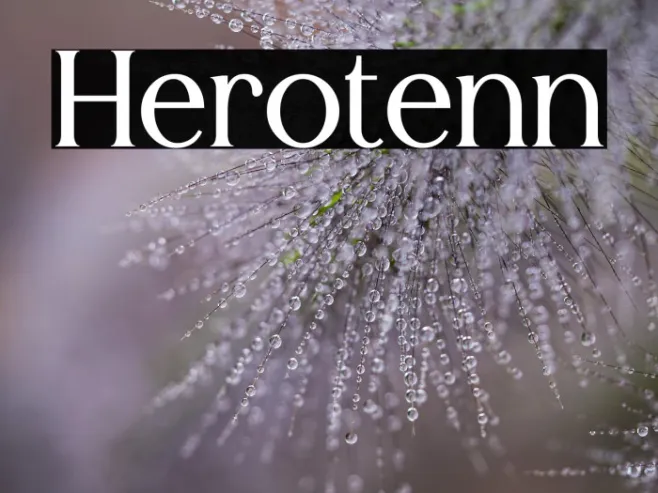 Herotenn Example 2